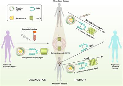 Role of Somatostatin Receptor in Pancreatic Neuroendocrine Tumor Development, Diagnosis, and Therapy